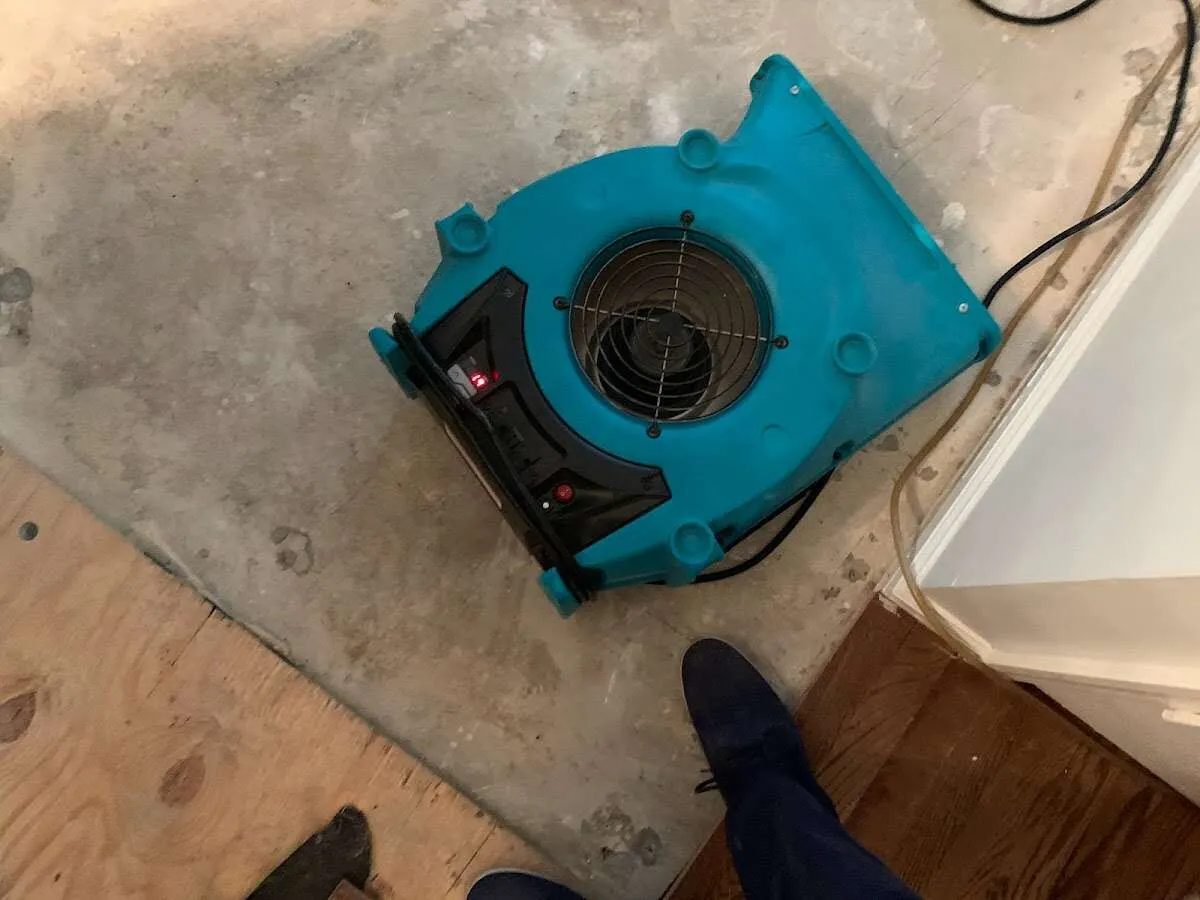 Air mover drying subfloor during Commercial Water Damage Restoration in Park